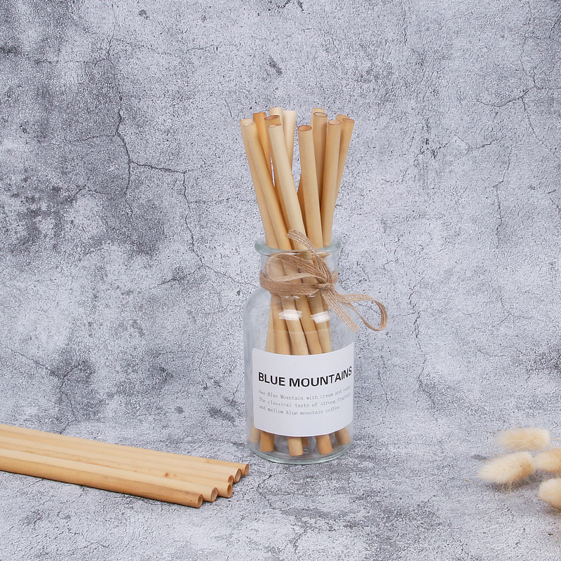 Botella de trigo biodegradable paja de bambú